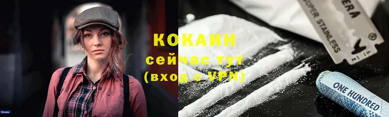 COCAIN Fish Scale  где можно купить наркотик  Великий Устюг 