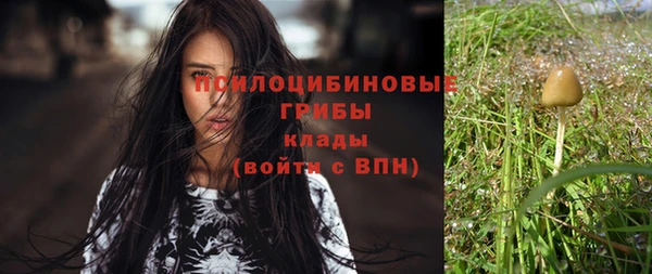 прущий лед Рославль