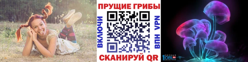 Галлюциногенные грибы Cubensis  как найти закладки  Великий Устюг 