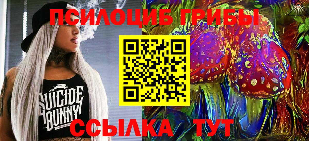 Галлюциногенные грибы GOLDEN TEACHER Великий Устюг