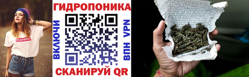 ссылка на мегу зеркало Великий Устюг Бошки Шишки White Widow
